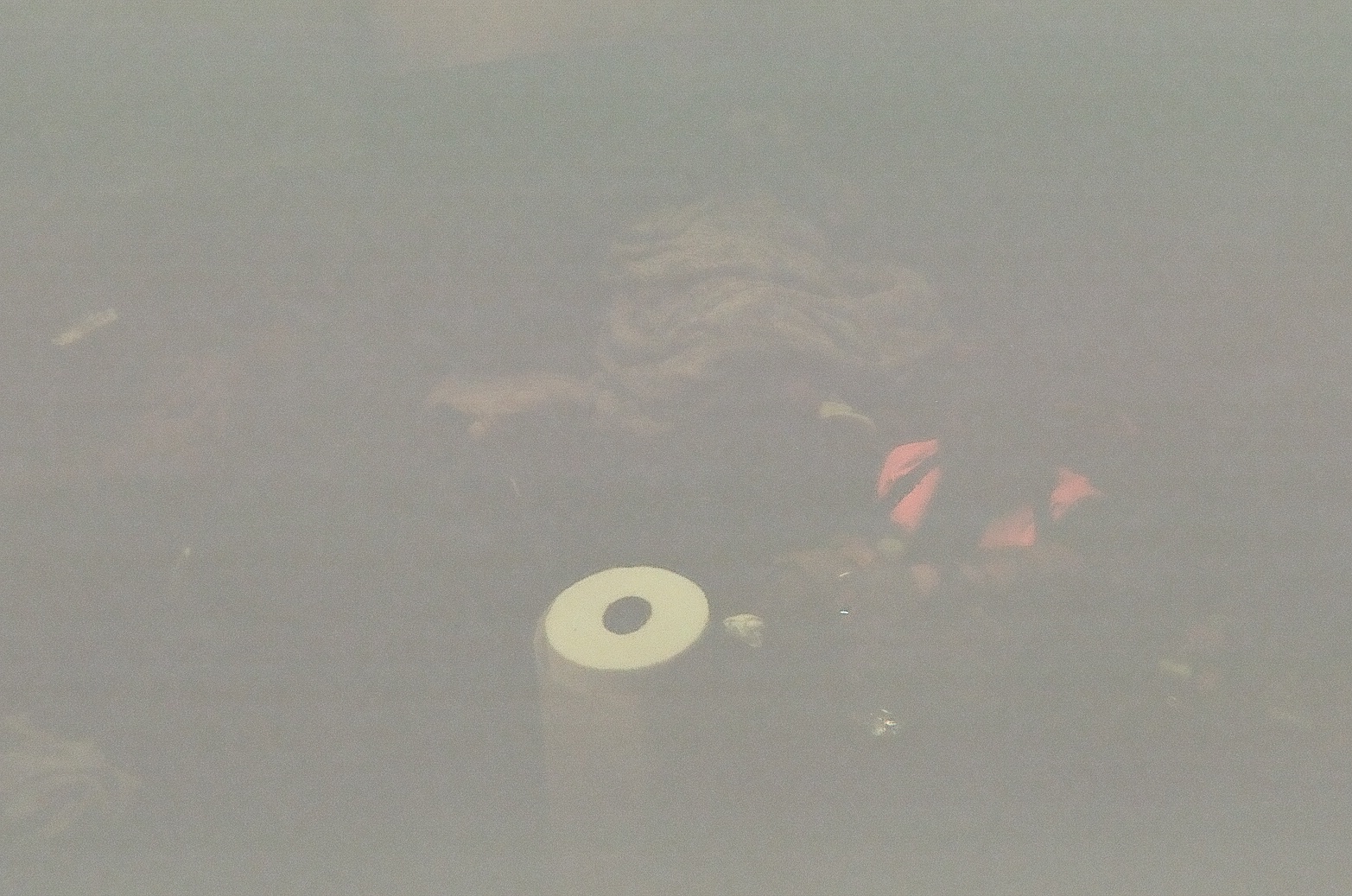 9 26 2023   12536901   Film 125369010007